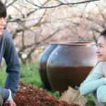 Przepis film recenzja