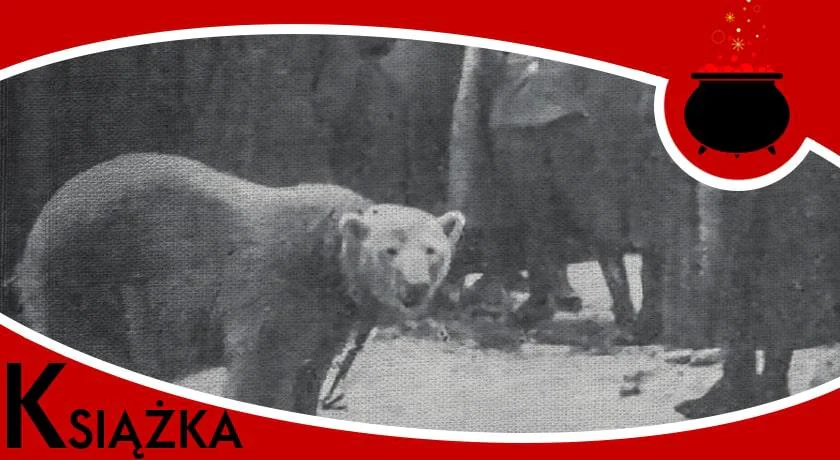 Baśka Murmańska i Lwy Północy - recenzja książki