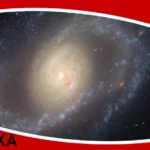 Shadow Raptors #6 - recenzja książki