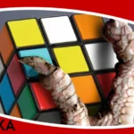 Olśnienie recenzja książki