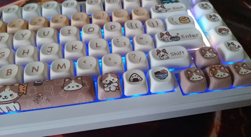 Epomaker Meow Sushi - wygląd, podświetlenie.