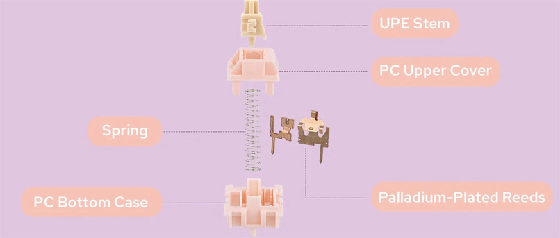 EPOMAKER Nude Rosa - schemat.